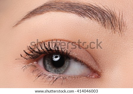 Macro of beautiful female eye with perfect shape eyebrows. Clean skin, fashion naturel make-up.