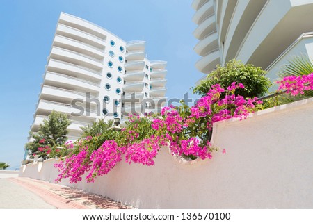 ALANYA - JUL 7: Outside the My Marine Residence with beautiful pink flowers on June 7, 2012 in Alanya, Turkye. The housing complex consists of 1 large and 5 small apartment blocks.