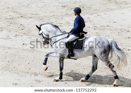 Rider on grey horse