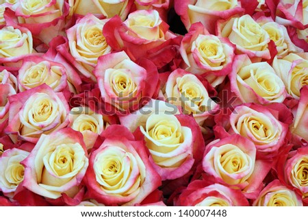 Close-up of bright bunch of freshly cut beautiful red-yellow roses.