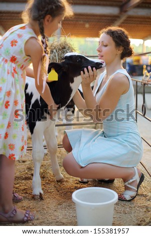 Happy little girl and her mother caress calf at cow farm at sunny day. Focus on calf and woman.