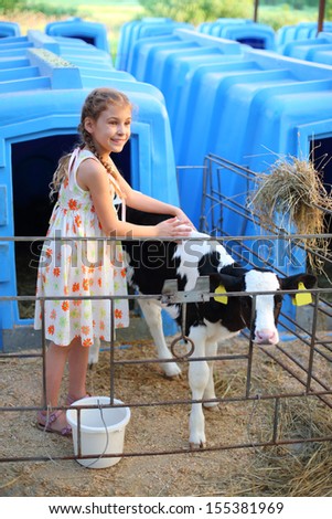 Happy little girl caresses cute calf at cow farm at sunny day at farm.