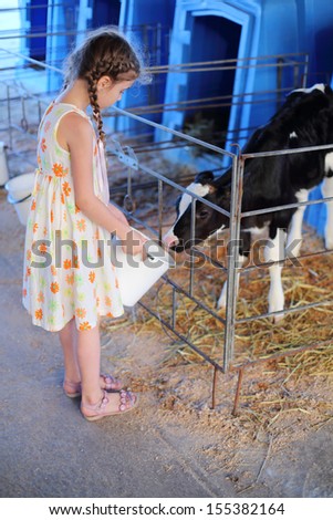Happy little girl holds out bucket of water to calf at cow farm at summer day.