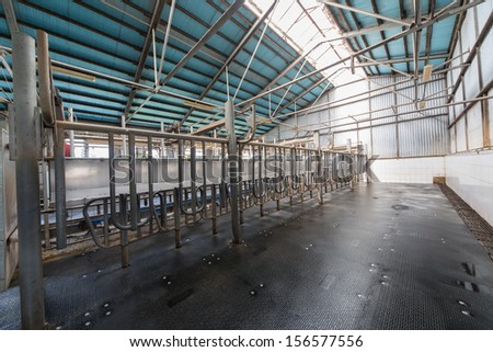 Empty hangar with equipment for milking cows