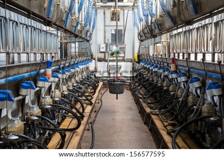 Equipment with milking machines on dairy farm