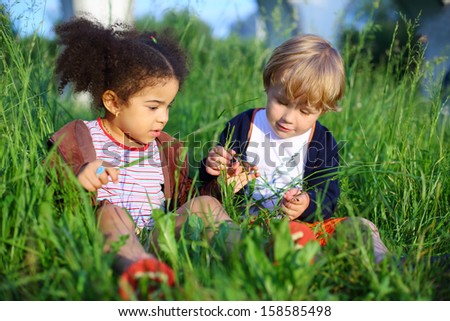 Little girl and boy sitting in the grass and consider a blade of grass