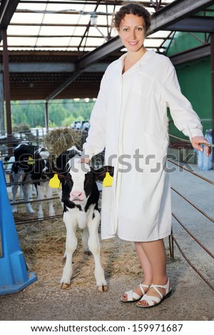 Beautiful woman in white robe poses near cute calf in big cow farm.
