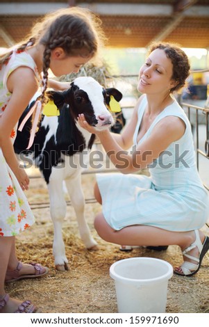 Little girl and her mother caress calf at cow farm at sunny day. Focus on calf.