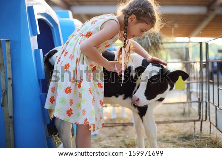 Happy little girlcaresses small calf at cow farm at summer day.