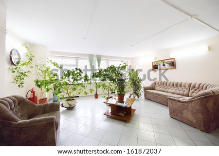 Empty light hall with plants growing in pots, a sofa and armchair