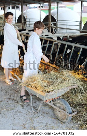 Boy stands near wheelbarrow with hay and woman work next to him in big cow farm. Focus on hay.