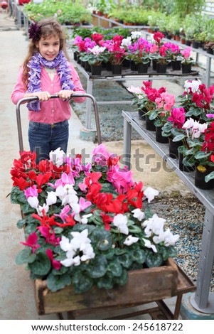 Little girl driven cart with beauty flower in the greenhouse