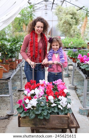 Mother and daughter driven cart with beauty flower in the greenhouse