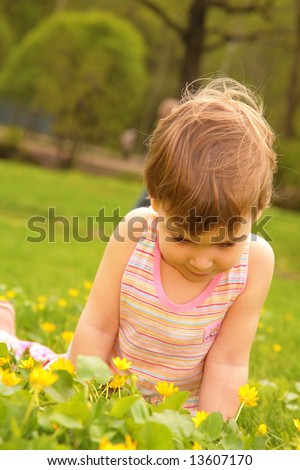 little girl looks on yellow flower on lawn