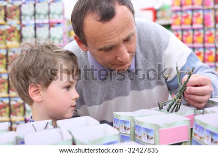 elderly man with boy in shop choose  rose sapling