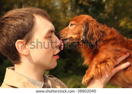 dachshund licks man in nose