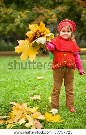 little girl collect maple leafs In park in autumn