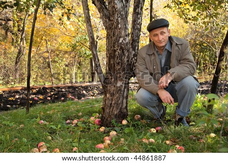 Thoughtful middle-aged man sit under apple-tree in autumnal garden