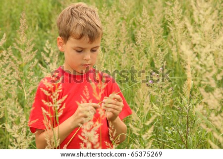 little boy in red shirt stands in high green grass and holding blade of grass