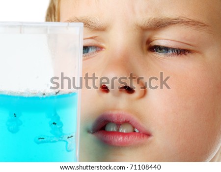 Little boy scrutiny looks into helium aquarium - ant farm - on a white background