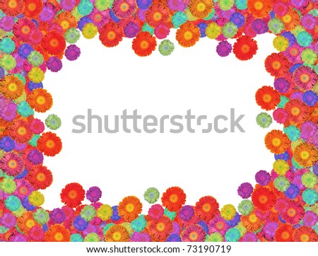 multicolored dahlia flowers frame isolated on white collage
