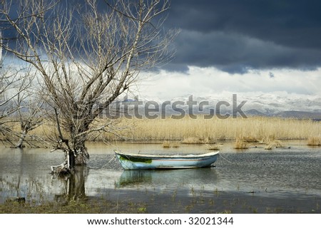 Fisherman\'s boat in a pond/lake amongst an eerie dead nature view of the calm before a big storm, with a beautiful, yet spooky mountain landscape