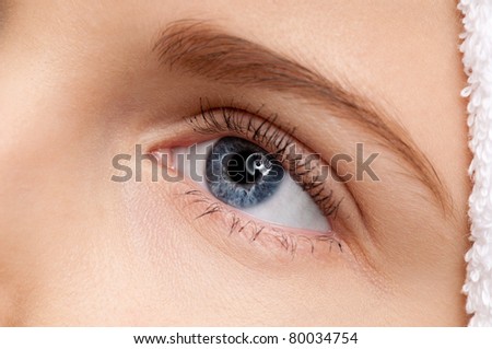 Closeup shoot of young beautiful woman with perfect skin: blue eye make-up zone. Macro