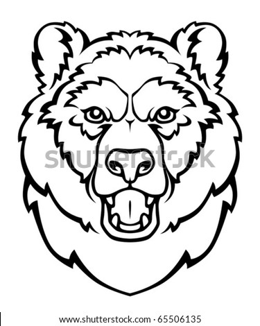 Bear Head Sketch