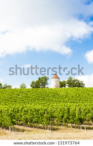 vineyard with windmill near Ribagnac, Dordogne Department, Aquitaine, France