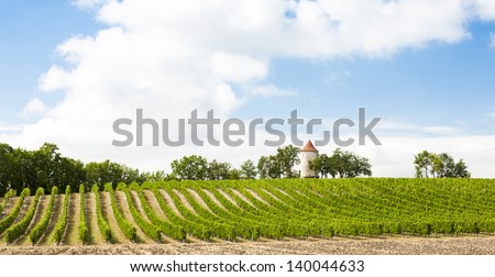 vineyard with windmill near Ribagnac, Dordogne Department, Aquitaine, France