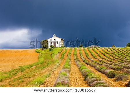 chapel with lavender field, Plateau de Valensole, Provence, France