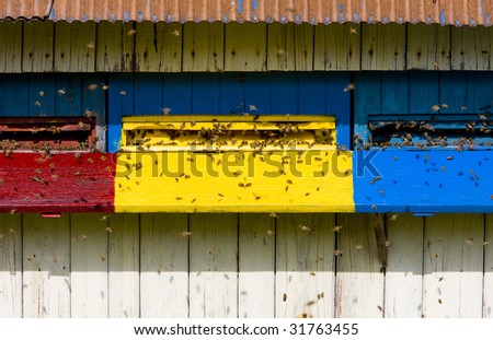 beehive, Slovakia