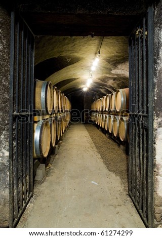 wine cellar, Buxy, Burgundy, France