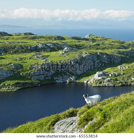 stock photo Sheep's Head Peninsula County Cork Ireland