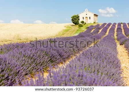 chapel with lavender and grain fields, Plateau de Valensole, Provence, France