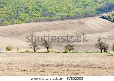 landscape with a field in Southern Moravia, Czech Republic