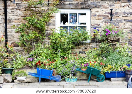 house with plants in Blanchland, Northumberland, England