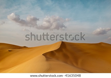 Sand Dunes in the Dubai Desert