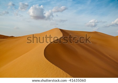 Sand Dunes in the Dubai Desert