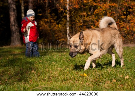 Protection. Dog and child. Focus in the dog