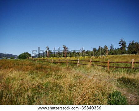 Landscape of Meadow by the Lake in the Mountains of Southern California in Big Bear Lake
