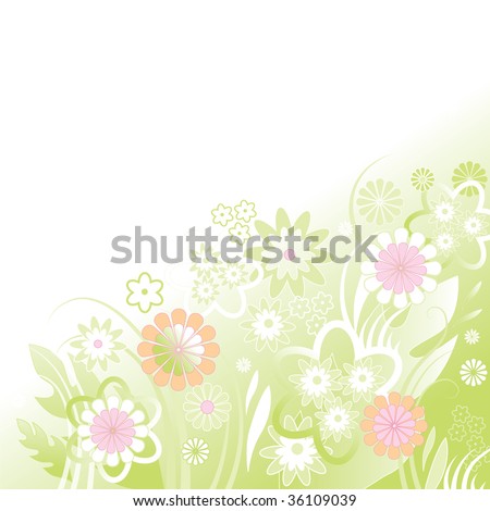 composition of flowers - white background
