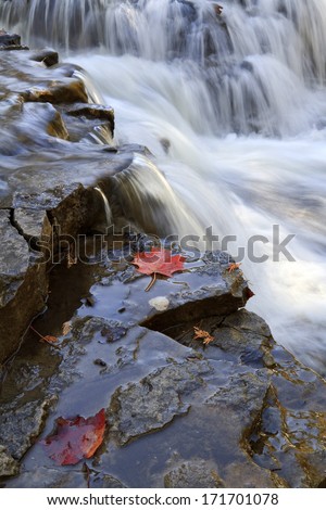 Edge of the Falls -- A couple red maple leaves rest on the edge of Ocqueoc Falls in Northern Michigan.