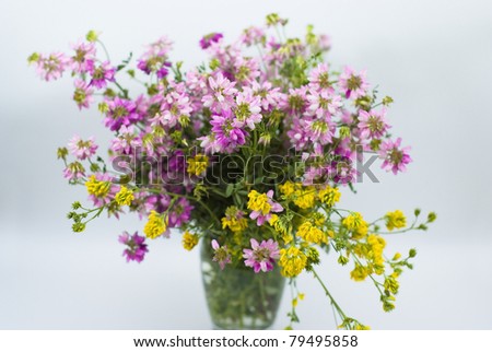 bouquet of summer fresh pink end yellow wild flowers isolated on white background