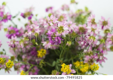 bouquet of summer fresh pink end yellow wild flowers isolated on white background