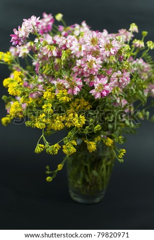 bouquet of summer fresh wild flowers isolated on black background