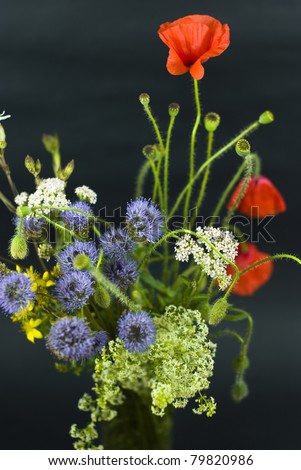 bouquet of summer fresh wild flowers isolated on black background