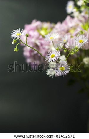 Bouquet of wild flowers on a white black