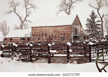 western cattle barn during snow fall in winter