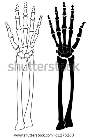 Human Bones Clipart